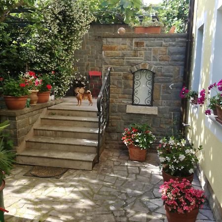 Guesthouse Leasol Lucija Exterior photo