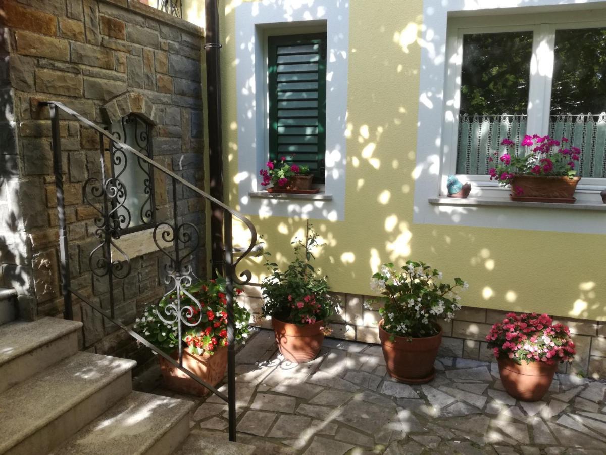 Guesthouse Leasol Lucija Exterior photo