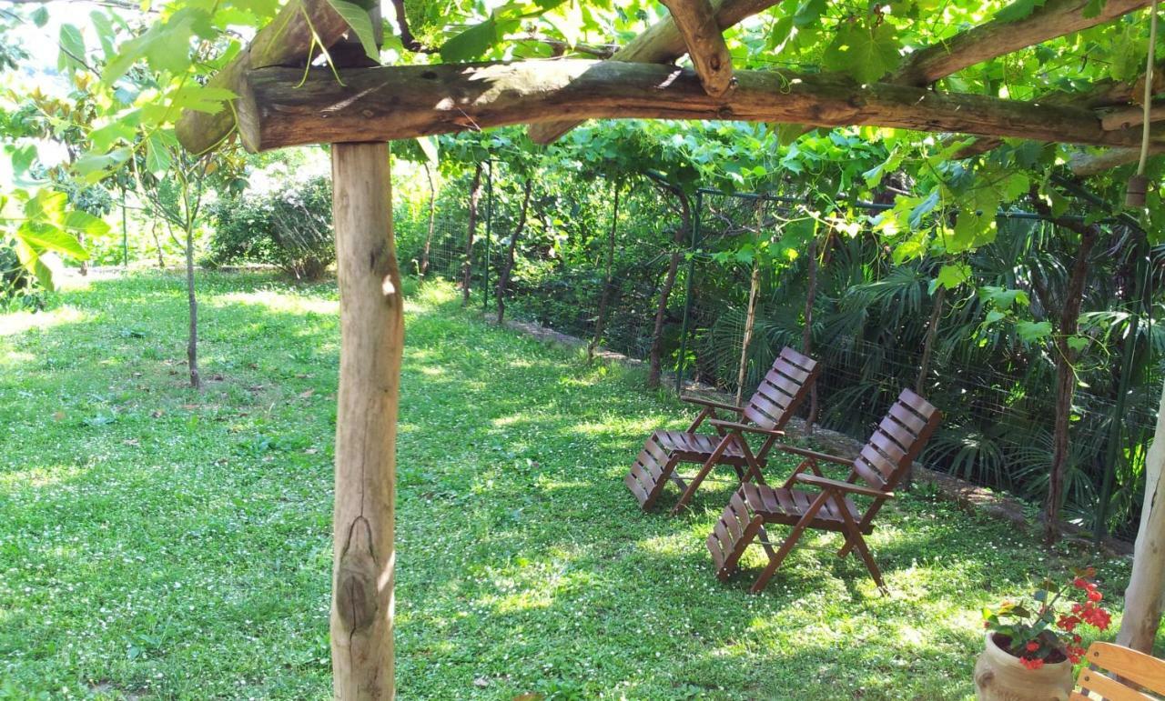 Guesthouse Leasol Lucija Exterior photo